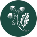Academica logo