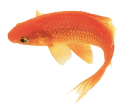Addison logo