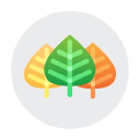 Aspen Grove Solutions logo