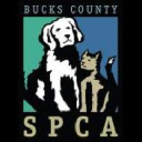 Bucks County SPCA logo