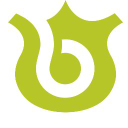 Benvenue Medical Inc logo