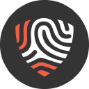 BigID Inc logo