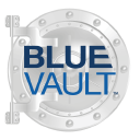 Blue Vault Partners, LLC logo