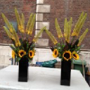 Bobbysflowers logo