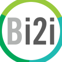 BRIDGEi2i Analytics logo