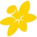 Cancer Council NSW logo