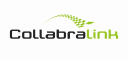 CollabraLink Technologies logo