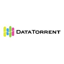 DataTorrent Inc. logo