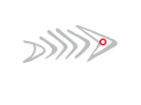 Dorodoint logo