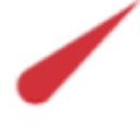Dunami logo