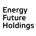 Energy Future Holdings logo