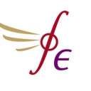 FirstEigen logo