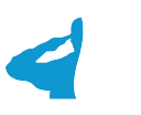 Friendlyforcesconstruction logo