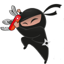 GetNinjas logo