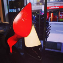 James Shoe Care logo