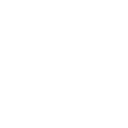 DavidLeeKaiser.com logo