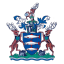 Kingston Council logo