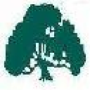Life of the South logo