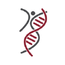 Linkp logo