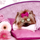 Londonpetspa logo