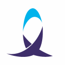 MATERA Systems Inc logo