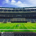 Metlife Stadium logo