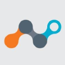 Netskope logo
