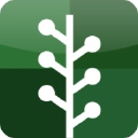 Newsvine logo