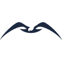 Nisos Group LLC logo