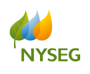 Nyseg logo