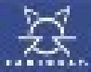 Radiocat logo
