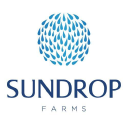Sundrop Farms logo