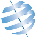 Tgm-global logo