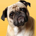Three Dog Logistics logo