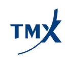 TMX Group logo