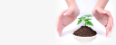 Triam ltd logo