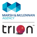 Trion Group logo