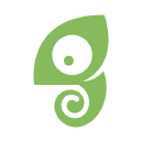Chameleon Intelligent Tech Inc logo