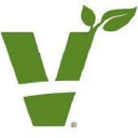 Viridian logo